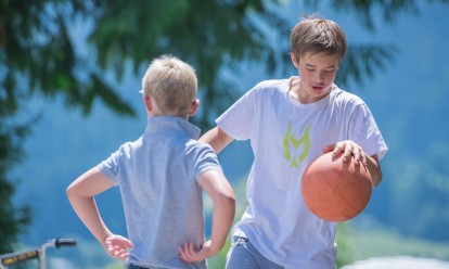 Basketball Auhof