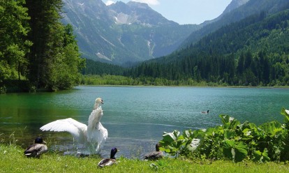 Sommerurlaub in Wagrain-Kleinarl